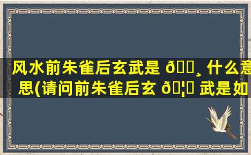 风水前朱雀后玄武是 🌸 什么意思(请问前朱雀后玄 🦈 武是如何区分的)